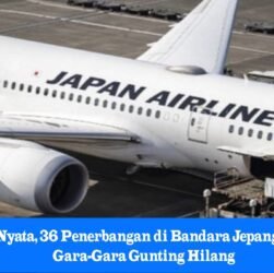 Bandara Jepang