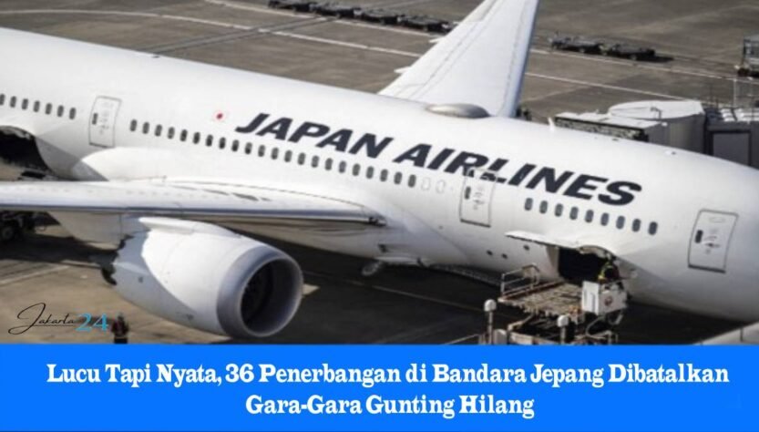 Bandara Jepang